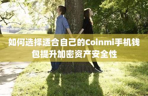 如何选择适合自己的Coinmi手机钱包提升加密资产安全性