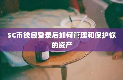 SC币钱包登录后如何管理和保护你的资产