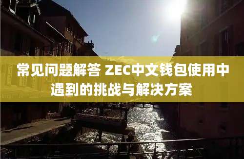 常见问题解答 ZEC中文钱包使用中遇到的挑战与解决方案