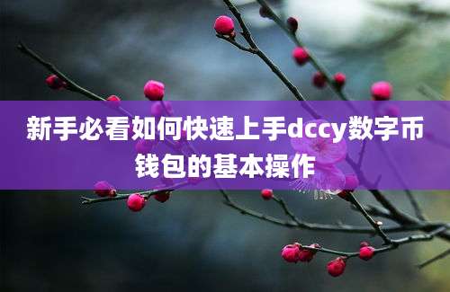 新手必看如何快速上手dccy数字币钱包的基本操作