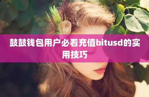 鼓鼓钱包用户必看充值bitusd的实用技巧