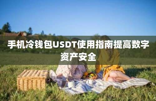 手机冷钱包USDT使用指南提高数字资产安全