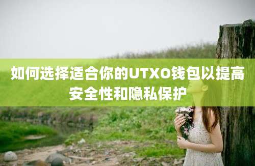 如何选择适合你的UTXO钱包以提高安全性和隐私保护