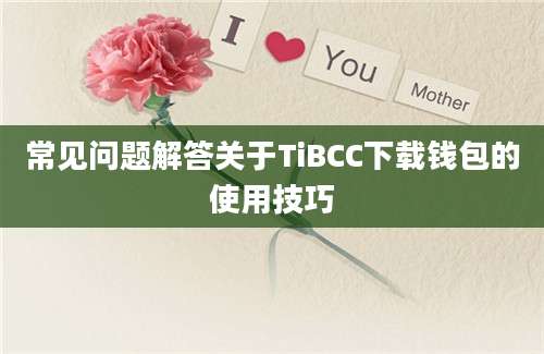 常见问题解答关于TiBCC下载钱包的使用技巧