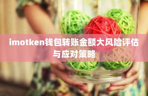 imotken钱包转账金额大风险评估与应对策略