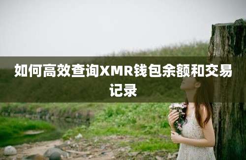 如何高效查询XMR钱包余额和交易记录