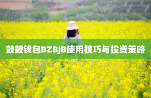 鼓鼓钱包BZBJB使用技巧与投资策略