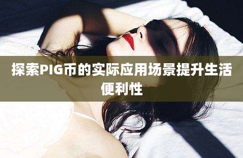 探索PIG币的实际应用场景提升生活便利性