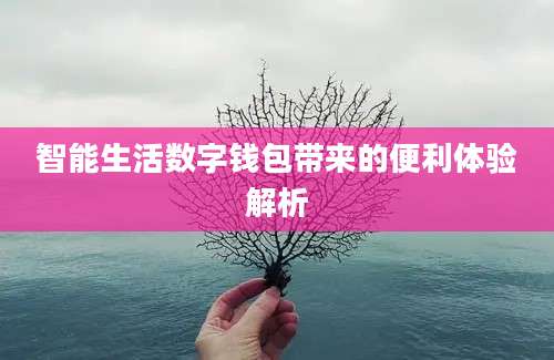 智能生活数字钱包带来的便利体验解析