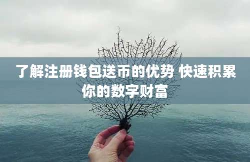 了解注册钱包送币的优势 快速积累你的数字财富