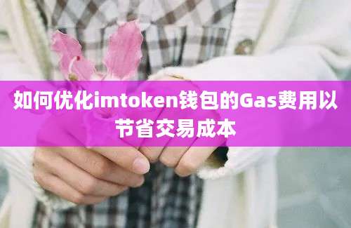 如何优化imtoken钱包的Gas费用以节省交易成本