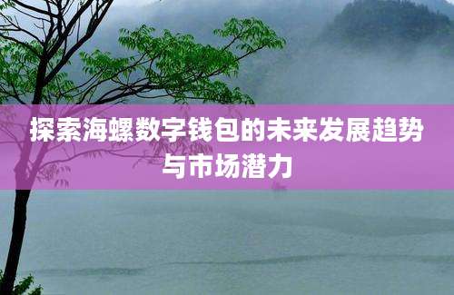 探索海螺数字钱包的未来发展趋势与市场潜力