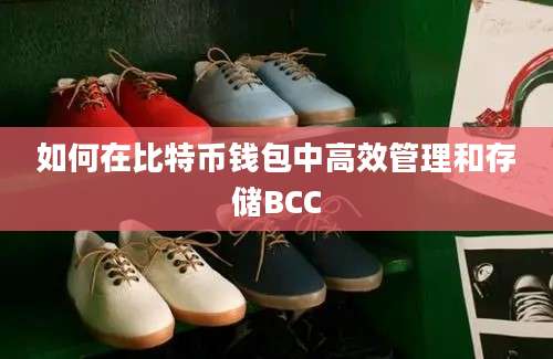 如何在比特币钱包中高效管理和存储BCC