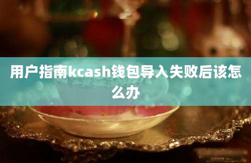 用户指南kcash钱包导入失败后该怎么办