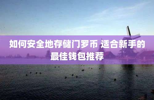 如何安全地存储门罗币 适合新手的最佳钱包推荐