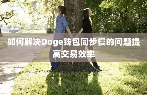 如何解决Doge钱包同步慢的问题提高交易效率