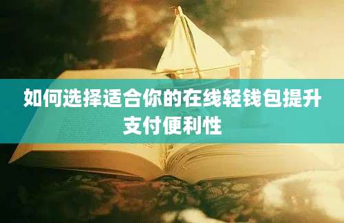 如何选择适合你的在线轻钱包提升支付便利性