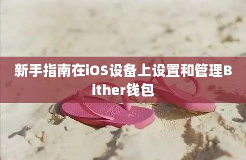 新手指南在iOS设备上设置和管理Bither钱包