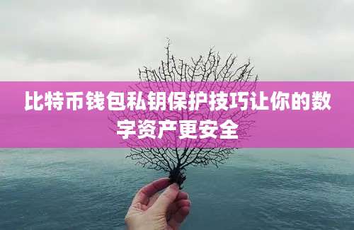 比特币钱包私钥保护技巧让你的数字资产更安全