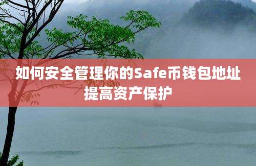 如何安全管理你的Safe币钱包地址提高资产保护