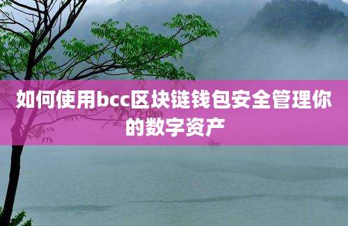 如何使用bcc区块链钱包安全管理你的数字资产