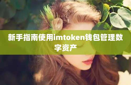 新手指南使用imtoken钱包管理数字资产