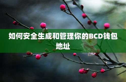 如何安全生成和管理你的BCD钱包地址