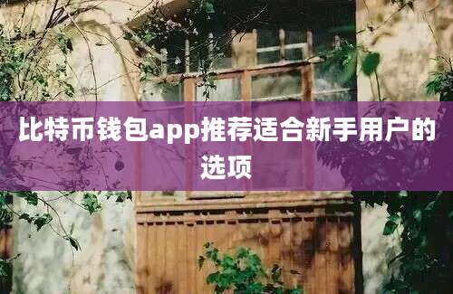 比特币钱包app推荐适合新手用户的选项