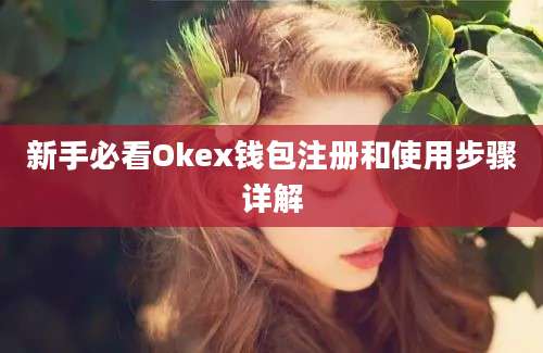 新手必看Okex钱包注册和使用步骤详解