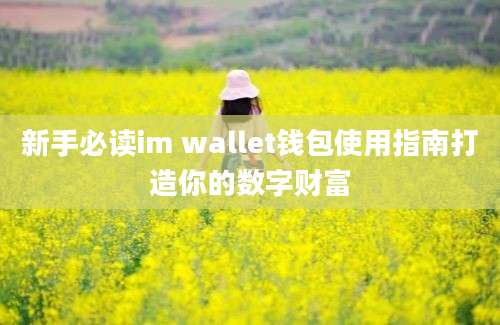 新手必读im wallet钱包使用指南打造你的数字财富