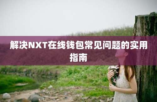 解决NXT在线钱包常见问题的实用指南