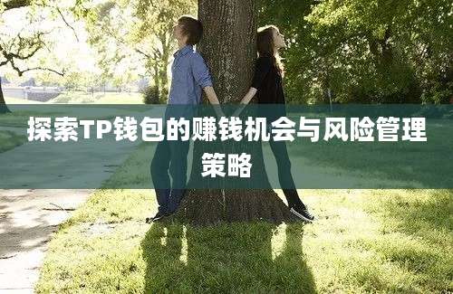 探索TP钱包的赚钱机会与风险管理策略