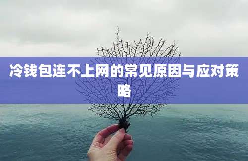 冷钱包连不上网的常见原因与应对策略