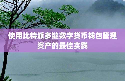 使用比特派多链数字货币钱包管理资产的最佳实践