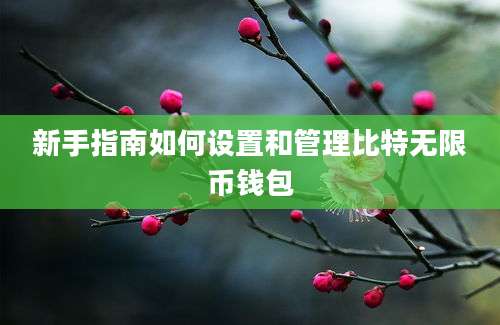 新手指南如何设置和管理比特无限币钱包