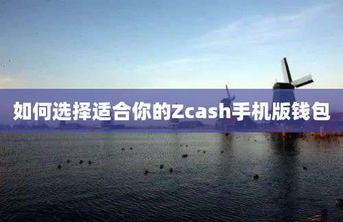 如何选择适合你的Zcash手机版钱包