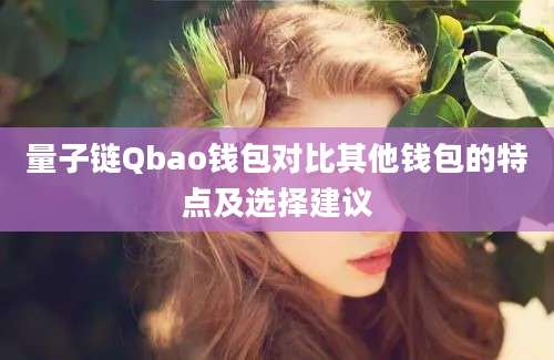 量子链Qbao钱包对比其他钱包的特点及选择建议