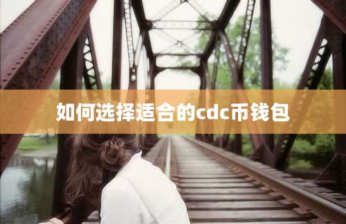 如何选择适合的cdc币钱包