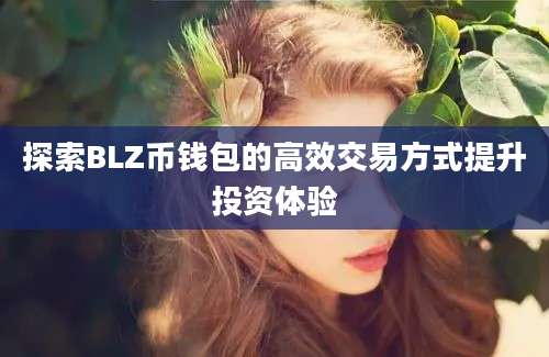 探索BLZ币钱包的高效交易方式提升投资体验