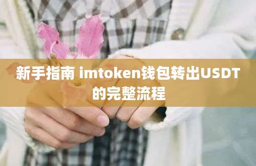 新手指南 imtoken钱包转出USDT的完整流程