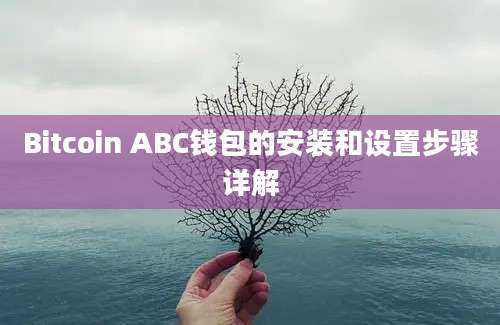 Bitcoin ABC钱包的安装和设置步骤详解