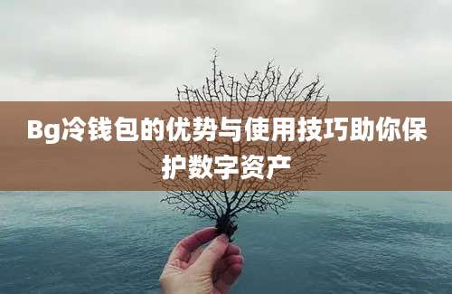 Bg冷钱包的优势与使用技巧助你保护数字资产