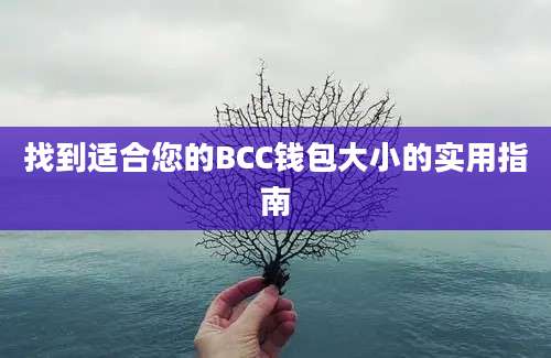 找到适合您的BCC钱包大小的实用指南