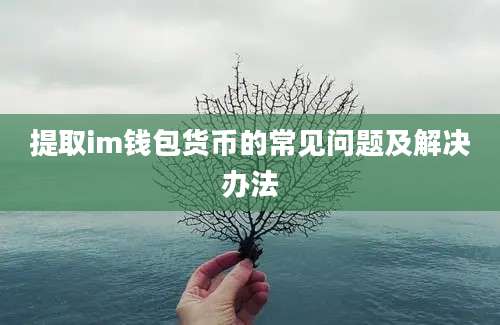 提取im钱包货币的常见问题及解决办法