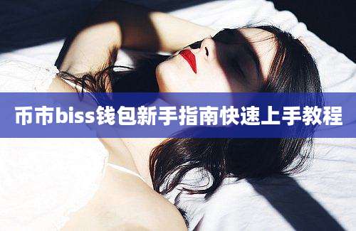 币市biss钱包新手指南快速上手教程