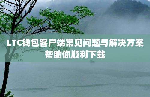 LTC钱包客户端常见问题与解决方案帮助你顺利下载