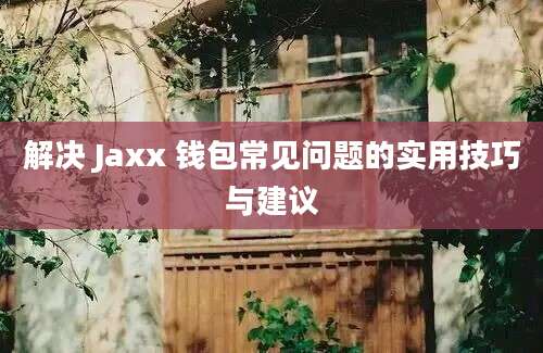 解决 Jaxx 钱包常见问题的实用技巧与建议