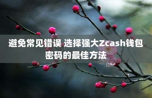 避免常见错误 选择强大Zcash钱包密码的最佳方法