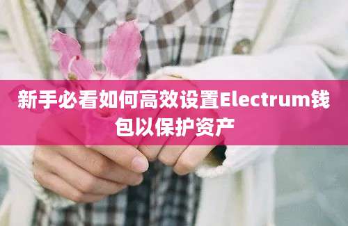 新手必看如何高效设置Electrum钱包以保护资产