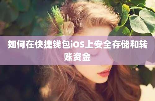 如何在快捷钱包iOS上安全存储和转账资金